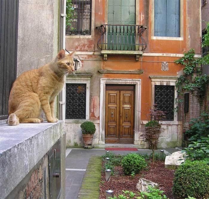 Ca' Angeli Bed & Breakfast Venice Ngoại thất bức ảnh